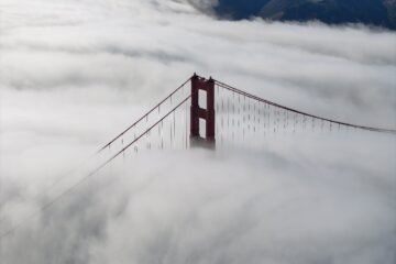 Niebla en la noche