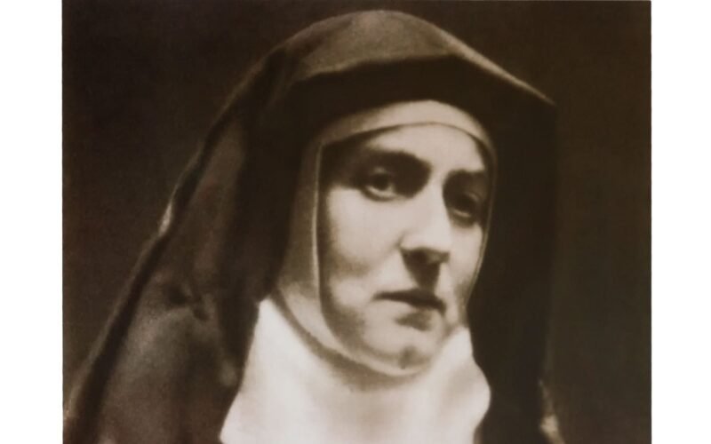 Los siete libros de la semana en ‘Babelia’