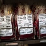 Los seis libros de la semana