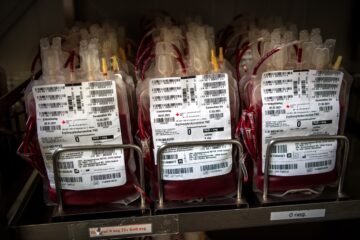 Los seis libros de la semana