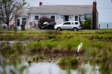 Un nuevo contrato social para afrontar el cambio climático