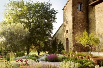 En busca del edén contemporáneo