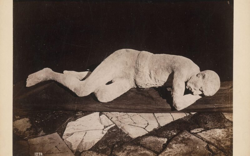 Los ocho libros de la semana