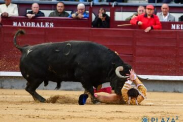Cuadri, un sonoro fracaso