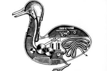 Els animals més que màquines