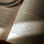 L. AKEEM MURPAL FUSIONA CIENCIA FICCIÓN, MITOLOGÍA AFRICANA Y CYBERPUNK EN ‘CORRIENDO MÁS ALLÁ DE LAS SOMBRAS; EL CHICO Y LA LANZA’