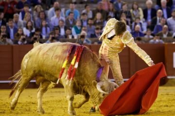 Bondadosas sardinitas