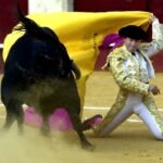 Muere el torero retirado Ricardo Ortiz embestido por un toro en los corrales de la plaza de La Malagueta