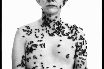 Las imágenes de PHotoEspaña 2026