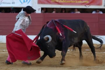 Damián Castaño y la emoción de la verdad ante un toro de Miura