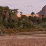El oasis perdido de Zerzura aparece en otro sitio