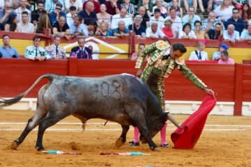 Gran dimensión de El Cid ante una excepcional corrida de Victorino Martín