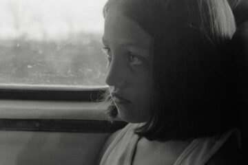 ‘El mensaje’: la familia (disfuncional) y otros animales
