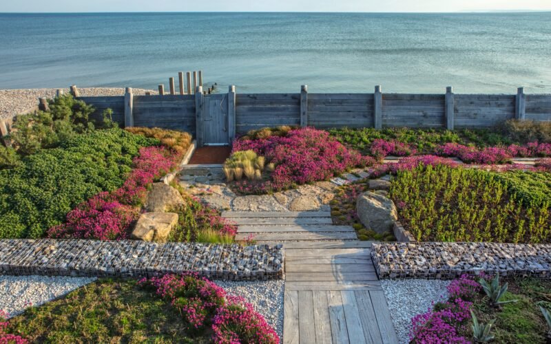 Instrucciones para plantar un jardín junto al mar
