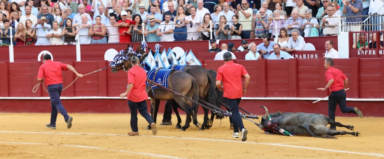 Málaga, plaza de toros de primera y tercera de España, en el contexto de una tauromaquia desnaturalizada