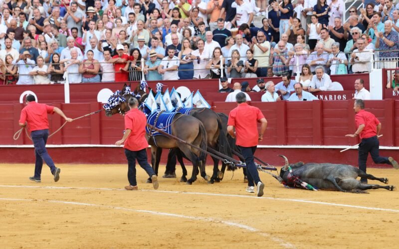 Málaga, plaza de toros de primera y tercera de España, en el contexto de una tauromaquia desnaturalizada