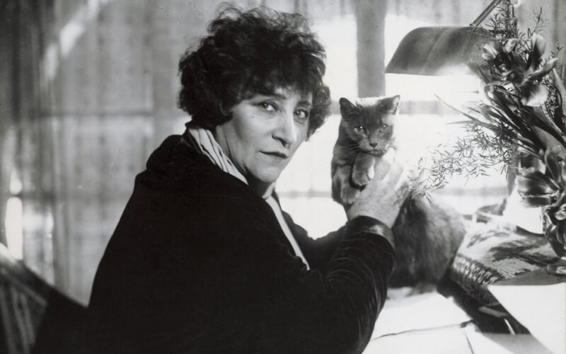 De amores y afinidades entre los escritores y los gatos