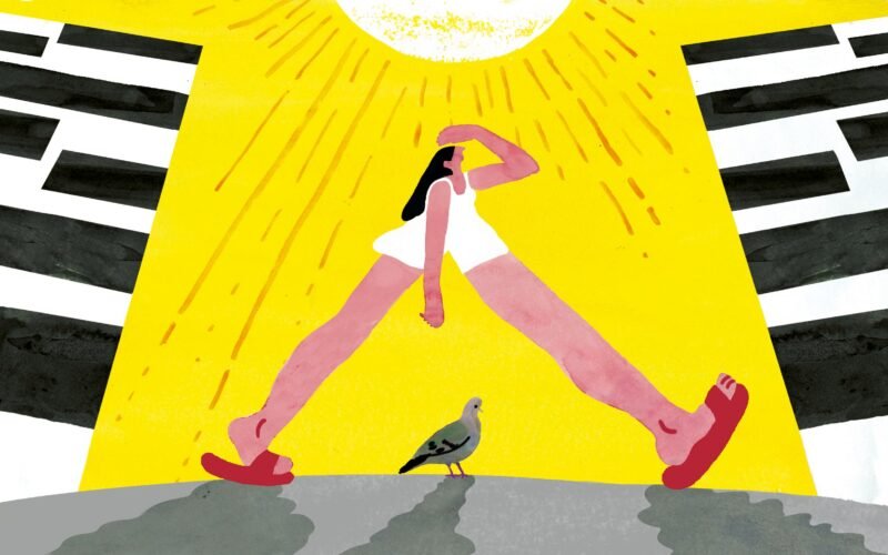 Vivir el verano como las palomas: sin pedir permiso y sin pagar