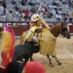 ‘Imaginario’, un bravo toro de Pallarés en Las Ventas