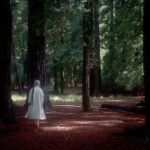 ¿Cómo pensar lo que importa? Con la memoria personal