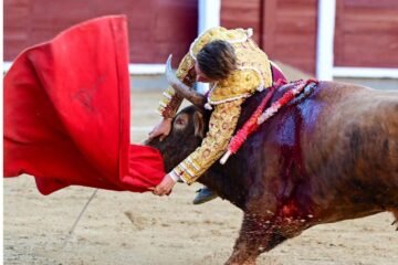Álvaro Serrano, herido grave en su arriesgada y deslucida encerrona
