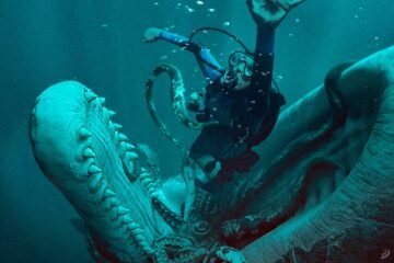 ‘Whalefall’: ¿se me puede comer una ballena? De entrada no, pero vea la película